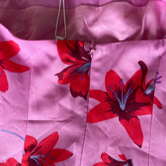 Likely Lois Pink and Red Floral Asymmetrical Dress - Picture 11 of 12